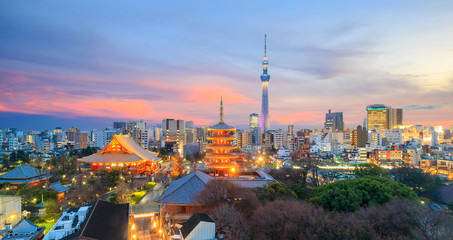 Uitzicht op de skyline van Tokyo in de schemering