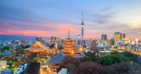 Foto op Plexiglas Tokio Uitzicht op de skyline van Tokyo in de schemering