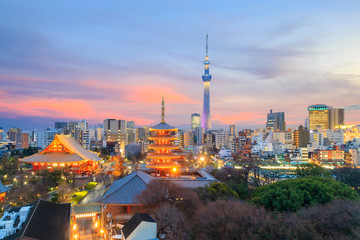 Fototapeta na wymiar View of Tokyo skyline at twilight