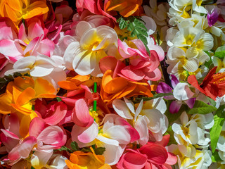 Colorful Hawaiian lei flowers.