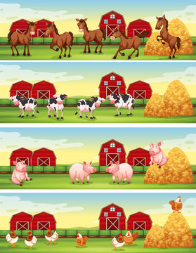 Four scenes of farm animals in the farm
