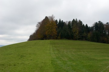 Schwarzwald