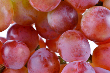 Red grapes isolated on white