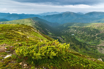 Naklejka na ściany i meble View from the peak Cherskiy to Khamar-Daban mountains