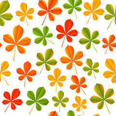Seamless pattern with autumn chestnut leaves 