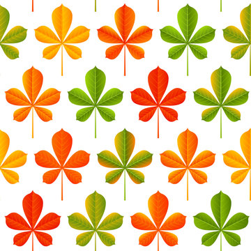 Seamless pattern with autumn chestnut leaves