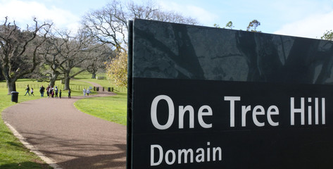 One Tree Hill domain in Cornwall Park in Auckland New Zealand - obrazy, fototapety, plakaty