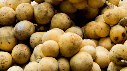 Lansium demesticum or Lansium parasiticum or Long Kong or Sounthern Langsat