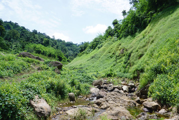 Fototapeta na wymiar water brook in the forest in Thailand