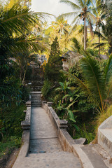 Fototapeta na wymiar Gunung kawi temple in Bali, Indonesia, Asia