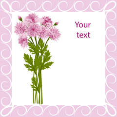 Postcard pink chrysanthemums