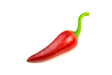 One ripe red Chilli peppers on white