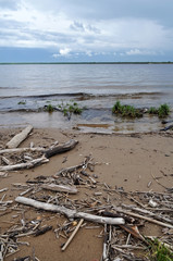 Fototapeta premium gray beach with driftwood and sky