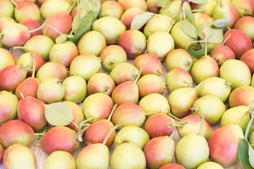 Ripe sweet yellow red pears background