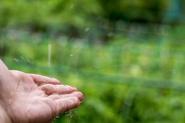 Catching Rain Drops