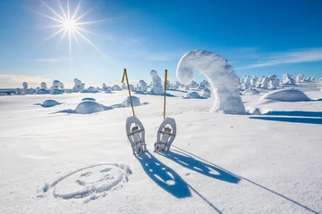 Foto op Plexiglas Snow shoes in fell on sunny day © petejau