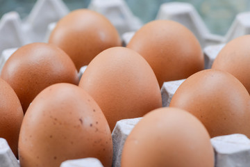 Eggs in paper tray