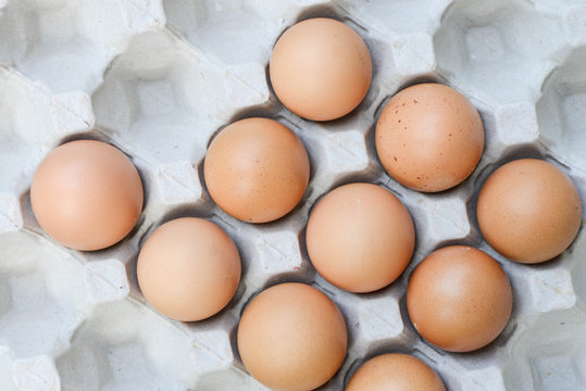 Eggs in paper tray - Top view