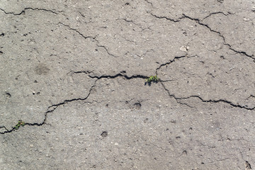 Fototapeta premium Texture of the old road with cracks