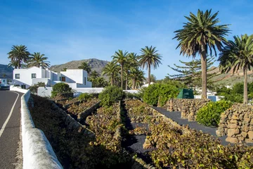 Deurstickers Village in Lanzarote © CarloSanchezPereyra