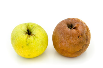 rotten apples