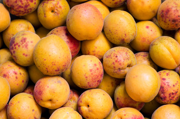 apricot background