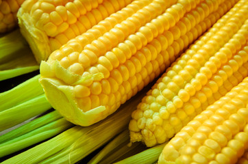 corn background