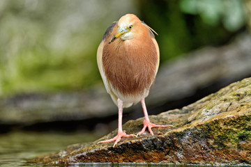 Birds © Tomasz Warszewski