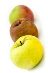 rotten apples