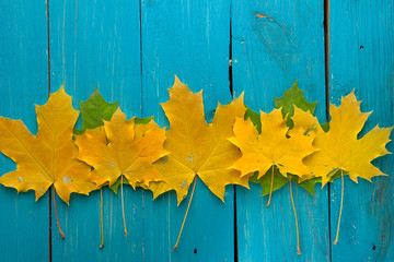 Autumn leaves over turquoise wooden background with empty space