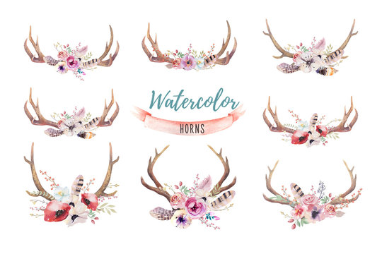Set of watercolor floral boho antler print.  western bohemian de