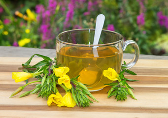 Clear cup of herbal tea from evening primrose.