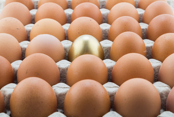 Single gold egg and many normal hen eggs in carton