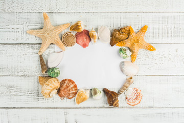 fish star and sea shells on the wooden background