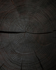 felling trees with cracks