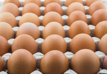 Background of hen eggs in rows close up diminishing depth of fie