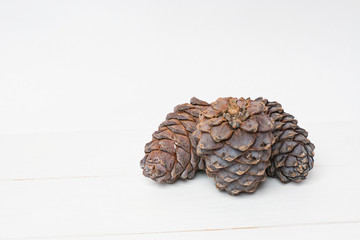 Siberian pine cons on white wooden table