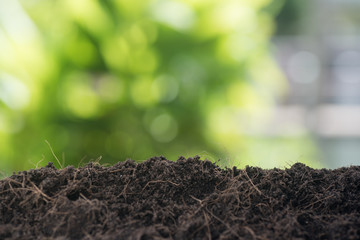 empty soil ready for plant with green leaf background