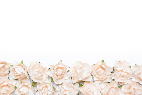 White roses frame on white