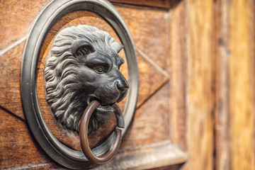 the lion's head door knocker on the wooden door