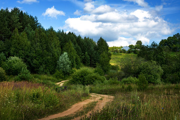 Fototapeta na wymiar summer landscape, Russia 