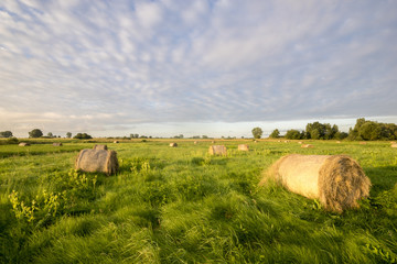 snopki siana na pastwisku © Mike Mareen