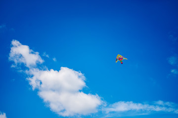 Fototapeta na wymiar Flying a kite up high. Space the text