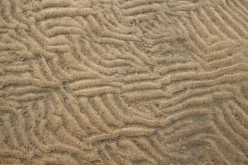 sandy background