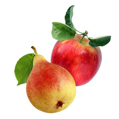 Red Apple and yellow pear isolated on white.