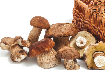 Beautiful mushrooms and a fragment of a basket