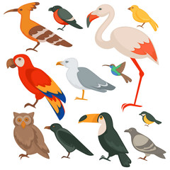 Obraz na płótnie Canvas Colorful birds set