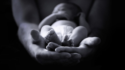 Fototapeta male hands holding a newborn baby obraz