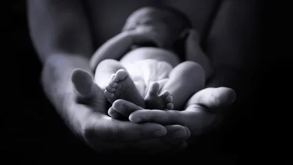 Fototapeten male hands holding a newborn baby © BazziBa