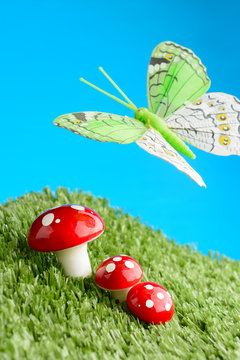 Three mushroom in the meadow and butterfly